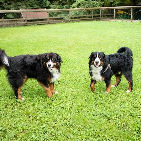 Eulersberg & アパート *