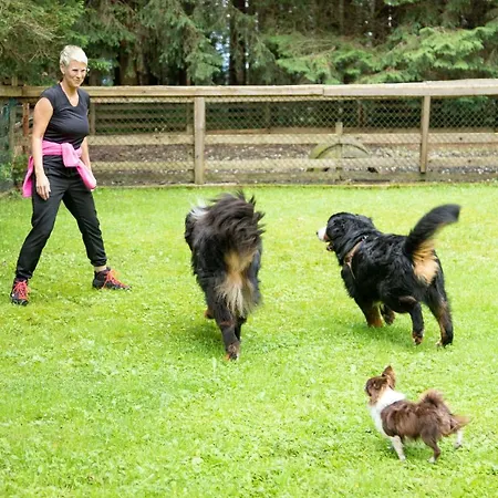 Eulersberg & Apartmán Werfenweng