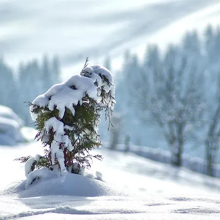 Eulersberg & アパート ヴェルフェンヴェンク