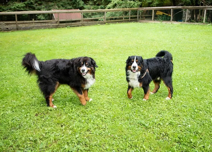 Eulersberg & Apartmán *