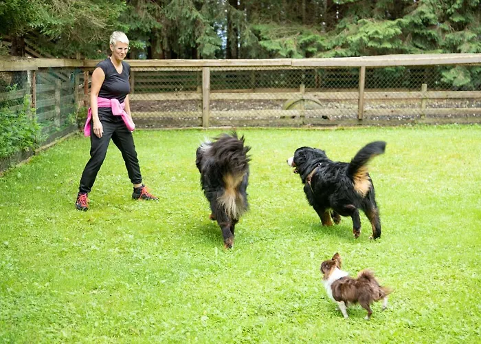 Eulersberg & Apartmán Werfenweng