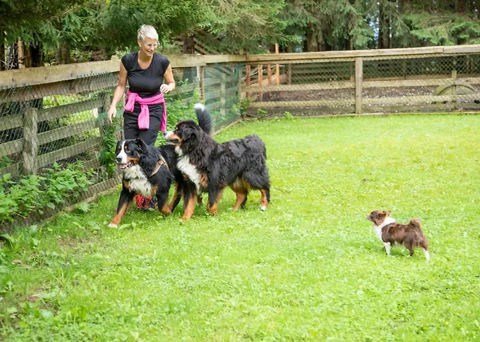 Eulersberg & Apartmán *